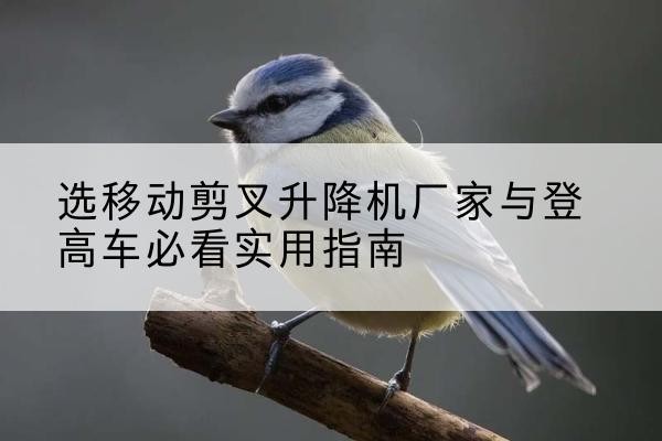 漳平电动升降机厂家-选移动剪叉升降机厂家与登高车必看实用指南