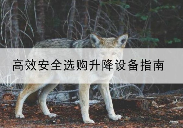 漳平升降货梯厂家推荐-*安全选购升降设备指南