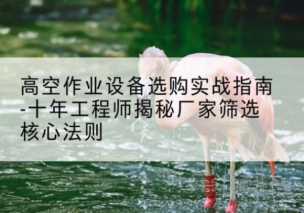 漳平剪叉式升降机厂家-高空作业设备选购实战指南-十年工程师揭秘厂家筛选核心法则